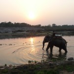 Chitwan