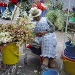 Au marché aux fleurs de Cuenca - Equateur
