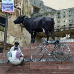 Sur les ghâts de Varanasi -Inde