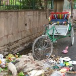 Embouteillage à Varanasi - Inde