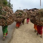 Porteuses à Dadelduhra - Népal