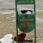 Sur le tour du Kailash - Tibet