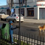 Puerto Natales - Chili