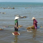 Le marché aux crabes de Kep