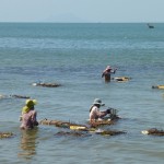 Kep : le panier de crabes !