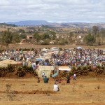 Marché aux zébus