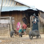 AKHA trek