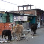 Au pied de l’Himalaya