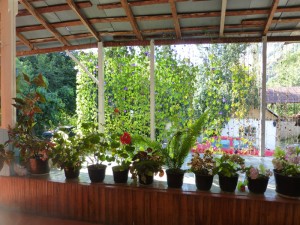 Le jardin vu de la terrasse