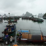 Bai Tu Long