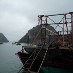 Bai Tu Long