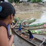 Ucayali, long fleuve tranquille?