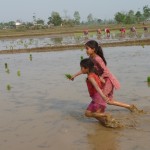 Chitwan