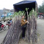 Bac Ha market 2