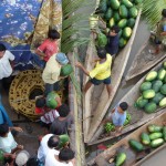 Ucayali, long fleuve tranquille?