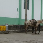 La vie à El Cocuy