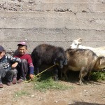Jeudi à Sary Moghol