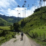 Cocora et ses palmiers de cire