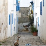 Sidi-Bou-Said