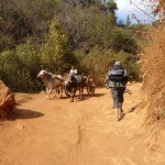 Trek de Kalaw au lac Inlé