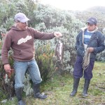 Trek à El Cocuy