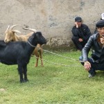Jeudi à Sary Moghol