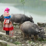 Bac Ha market 1