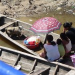 Cochon à bord sur l'Ucayali - Pérou